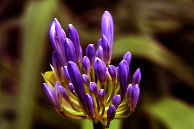 菲尔